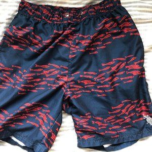 Polo Swim Trunks
